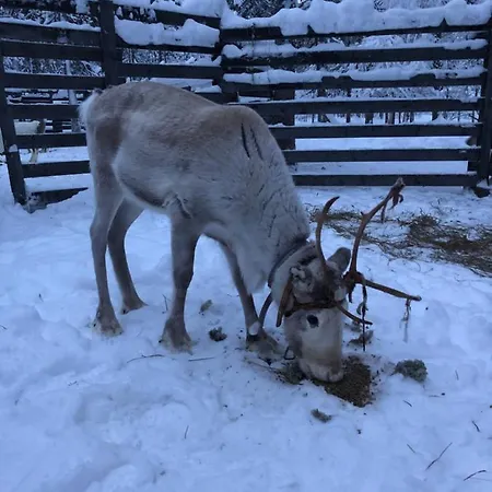 Πάρκο διακοπών Ahkula House Lemmenjoki