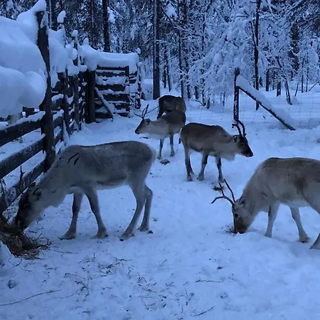 Ahkula House Holiday park Lemmenjoki