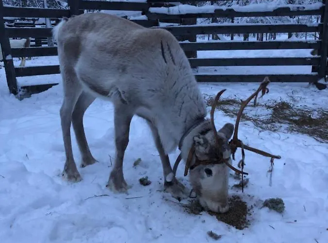 Semesterpark Ahkula House Lemmenjoki