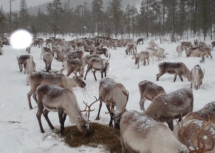 Ahkula House ホリデーパーク